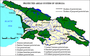 Flora and Fauna in Georgia Caucasus